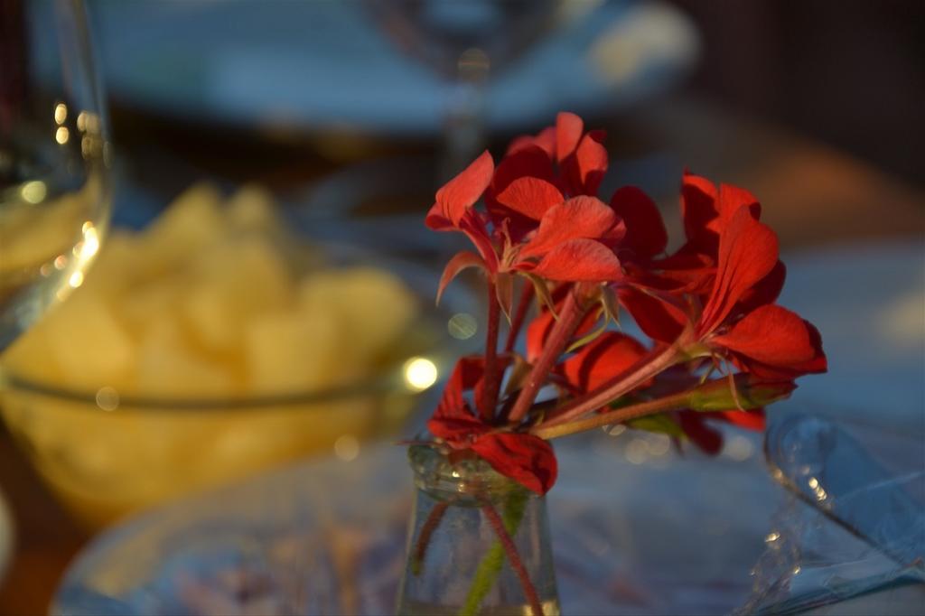 Podere Del Gesso 타르퀴니아 외부 사진