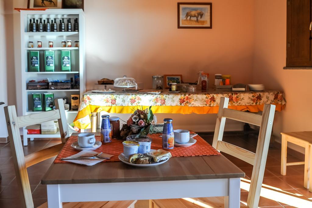 Podere Del Gesso 타르퀴니아 외부 사진